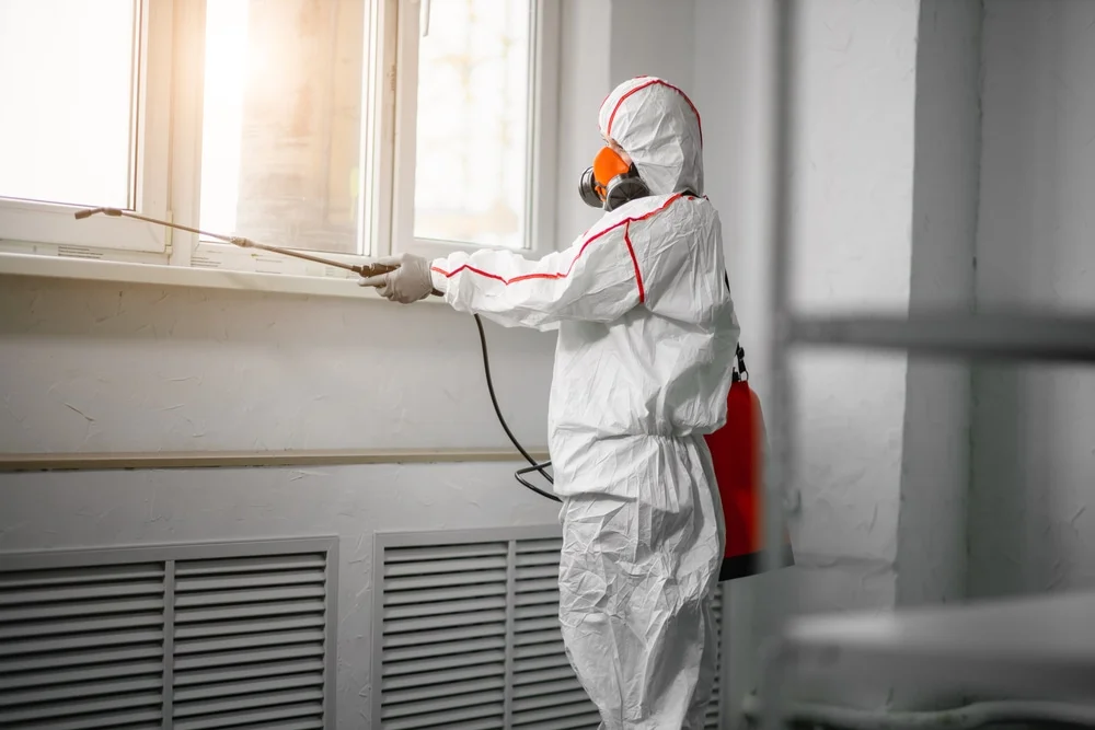 Professional mold remediation services in Woodville, WI